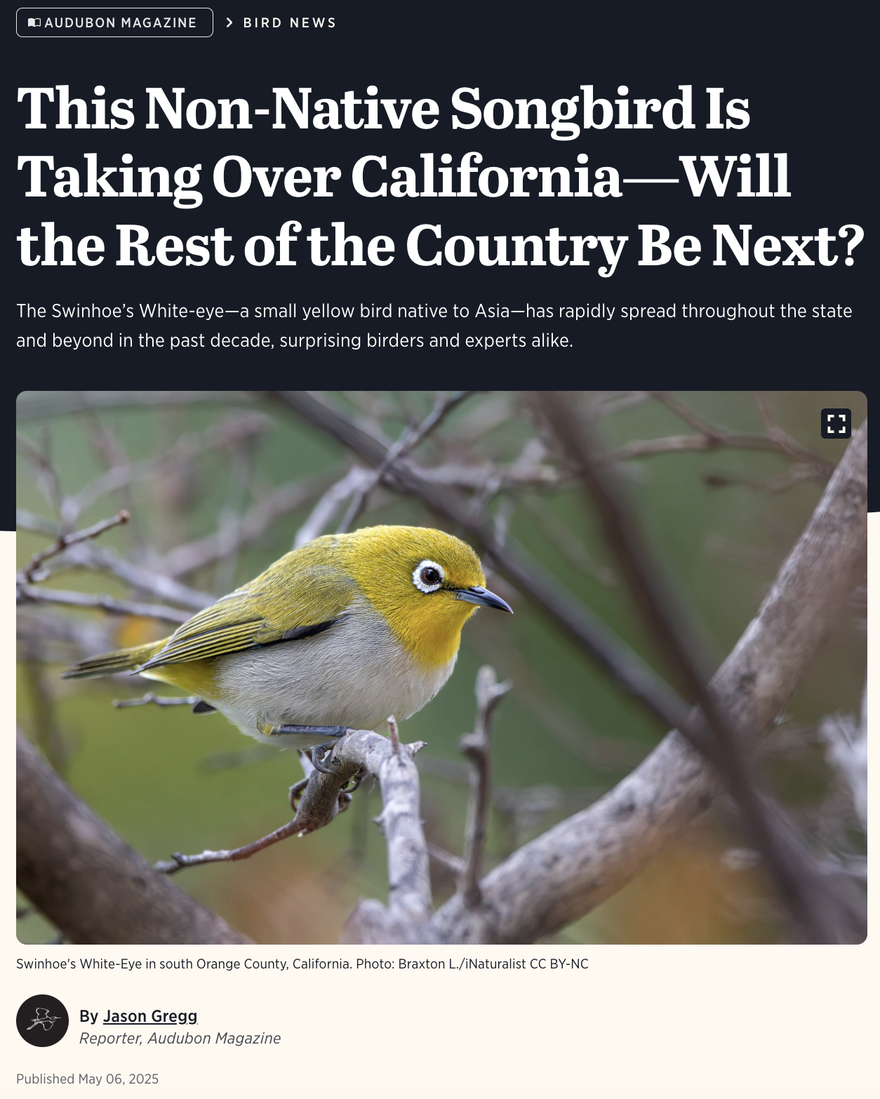 Audubon article thumbnail