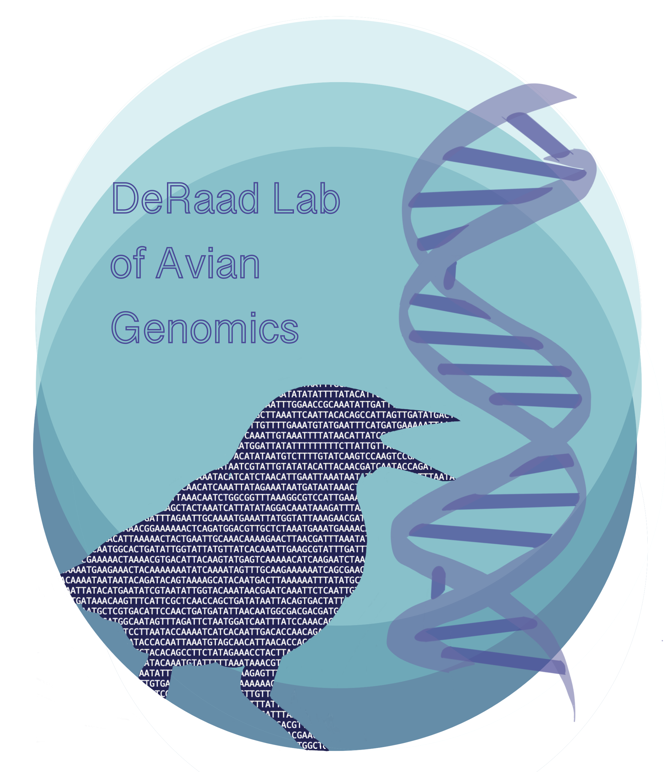 DeRaad Lab